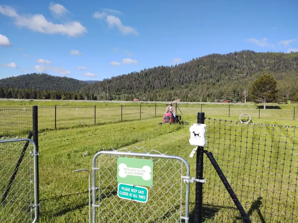 The fenced dog park