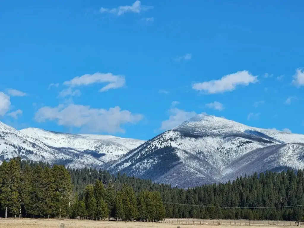 Snow covered peaks above the forest