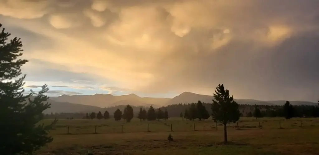 Sunset clouds over the meadow