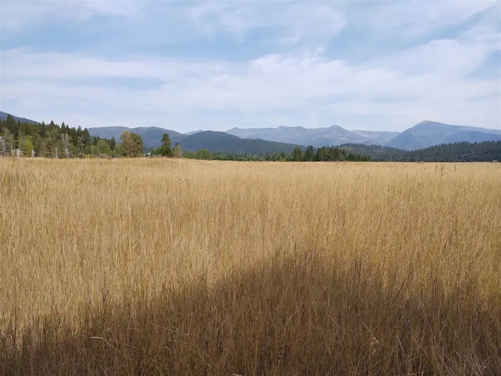 Open grass field on the property in September 2020, before construction, with a mountain ridge behind
